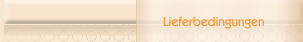 Lieferbedingungen